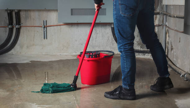 Best Flood restoration services  in Highspire, PA