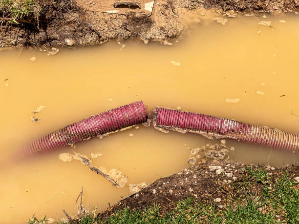 Best Carpet water damage restoration  in Highspire, PA